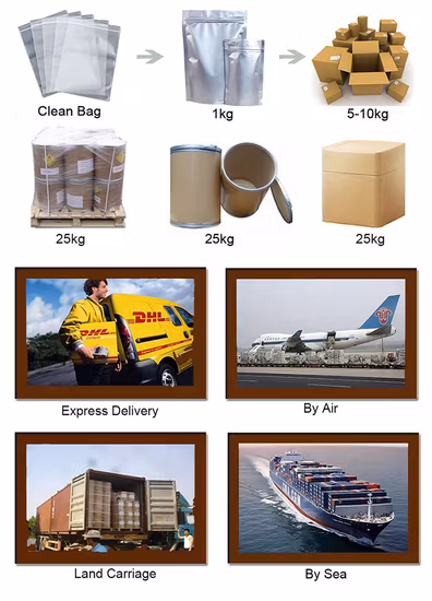 Extrato de mamão papaína em pó