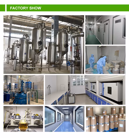 Comext Fabricante de grau alimentício enzima em pó maltase direto da fábrica para melhorar a digestão